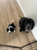 IMG-7325.jpg