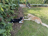 IMG-0818.jpg
