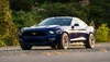 LIM02817 - Cropped.webp