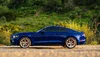 LIM02837 - Cropped.webp