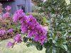 IMG-8458.jpg