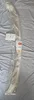 PXL_20260810_184045482.webp