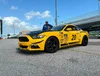 1786898416699-f1.webp