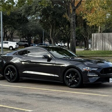 ムスタング ☆Fender Japan☆MB98-75 CO OTM Mustang Bass フェンダー