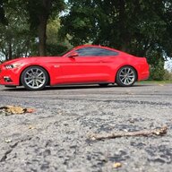 mustangirl