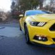 3xyellow-PP