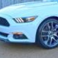 mcstang