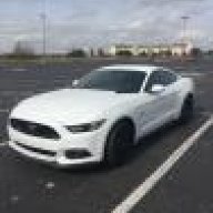 whitepony92