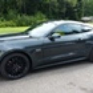 GNWMustang