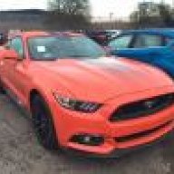 MustangDan
