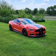 WindyCityStang