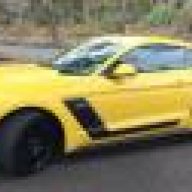 Aussiestang
