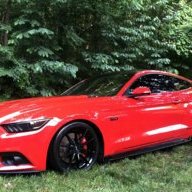 RedStallion