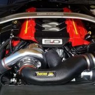 Vegas16GT