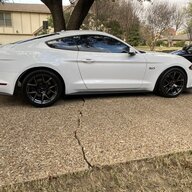 Scott2017GT