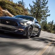 Cabotmustang