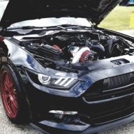 MustangWarrior