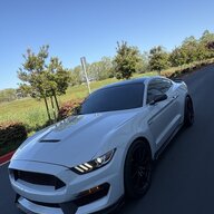 Avega96