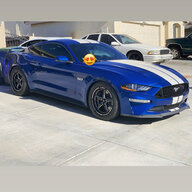 Mustangkid
