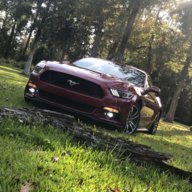 S550_Champ