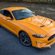StangCrazy79