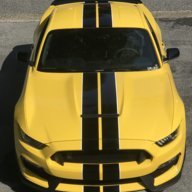 MustangMark20