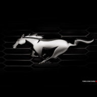 DetroitMustang