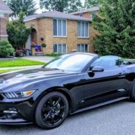windsorblackstang