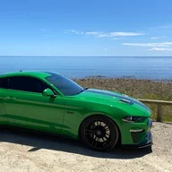 KermiStang