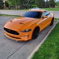 RowdyS197