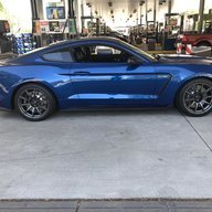 DroptopFox