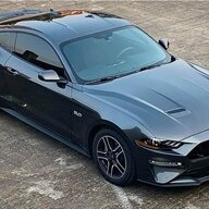 Grey Shark