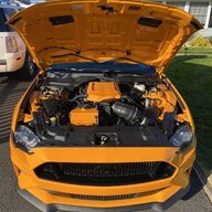 Orangewhipple
