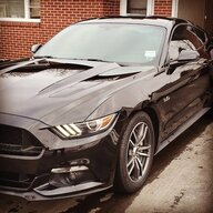 Revtastic