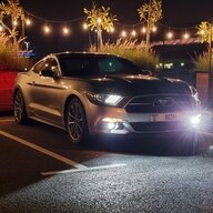 ThiccStang