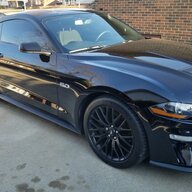 Mustangkev6687