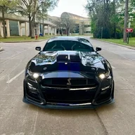 Blu_stallion