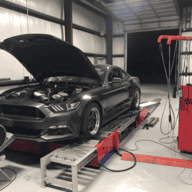 Mustangwingman