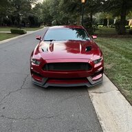 Vernoncole2