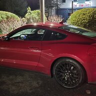 5.0Mustang22