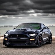 bleedblueshelby