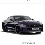Stang22