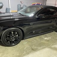 Mribs74