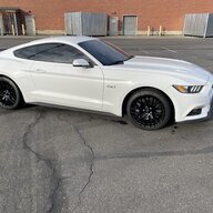 DADSMUSTANG