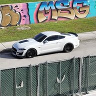 Stangster305