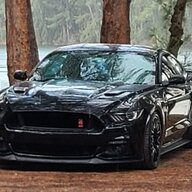 Black_Coyote