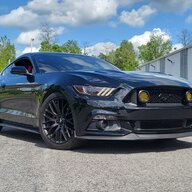 Mikerosa650