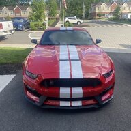 Evil Twin GT350