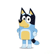 Bluey81