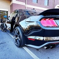 Race_ist5.0